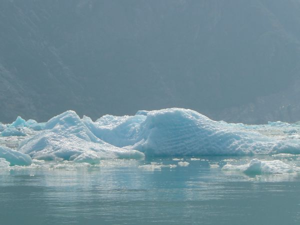 Sawyer Ice Field